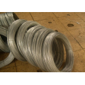 Hot Dipped Galvanized Welded Wire Mesh Roll